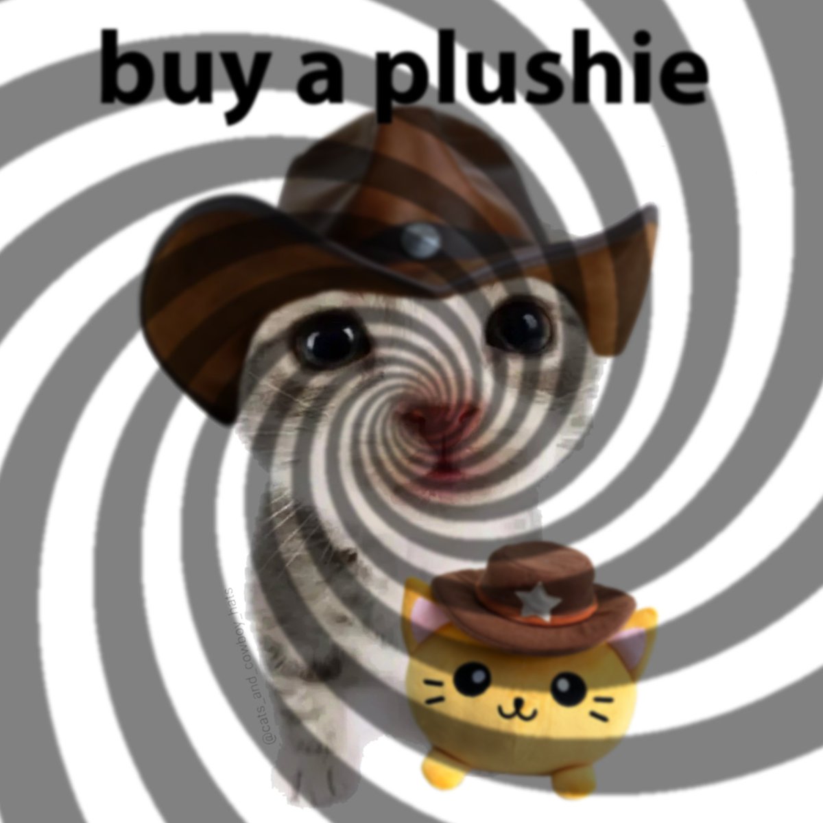 Get 'em here! 🤠 Cowboycatsaloon.com