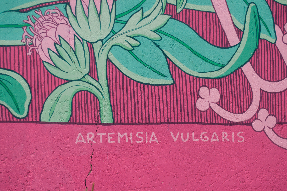 Rexenera Fest tweet media