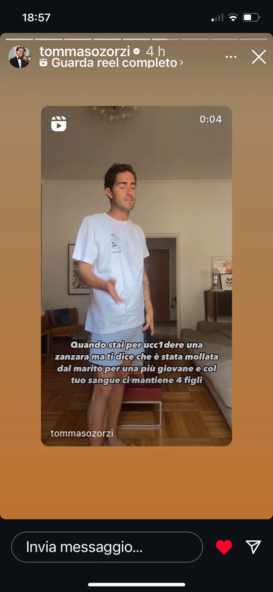 Lul89228299's tweet photo. Beh ti rispecchia in pieno questa situazione, hai un cuore enorme 🫶🏼 #tzvip https://t.co/EtYvvYoXvV