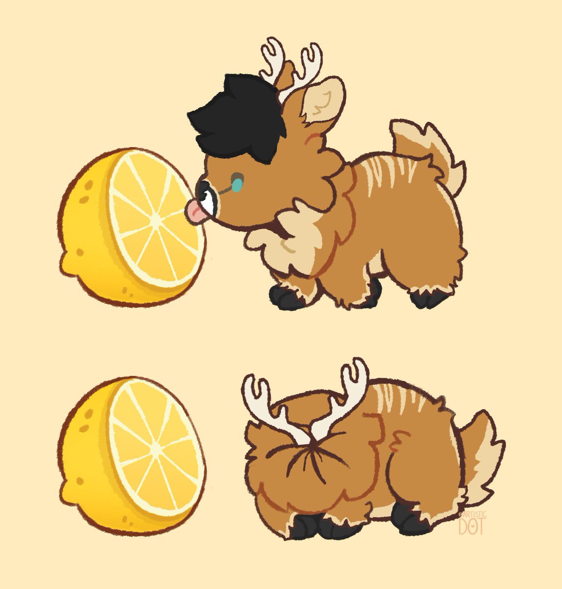 ⚠️DO NOT give your local deer a lemon🍋