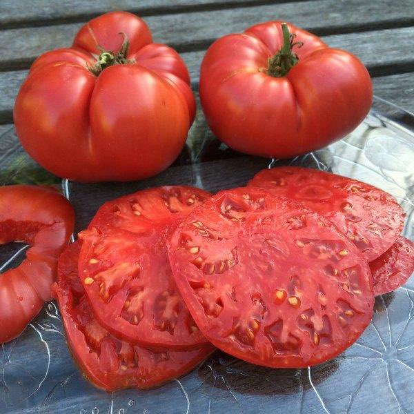 people who “hate tomatoes” have never tasted these with some salt…