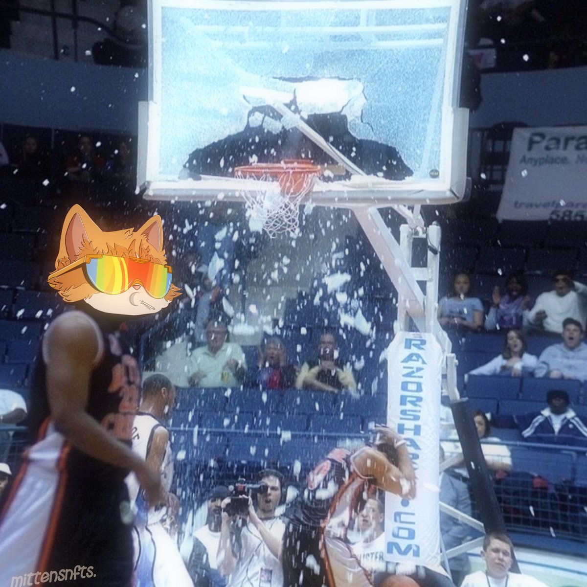 Mittens 🐱 tweet media