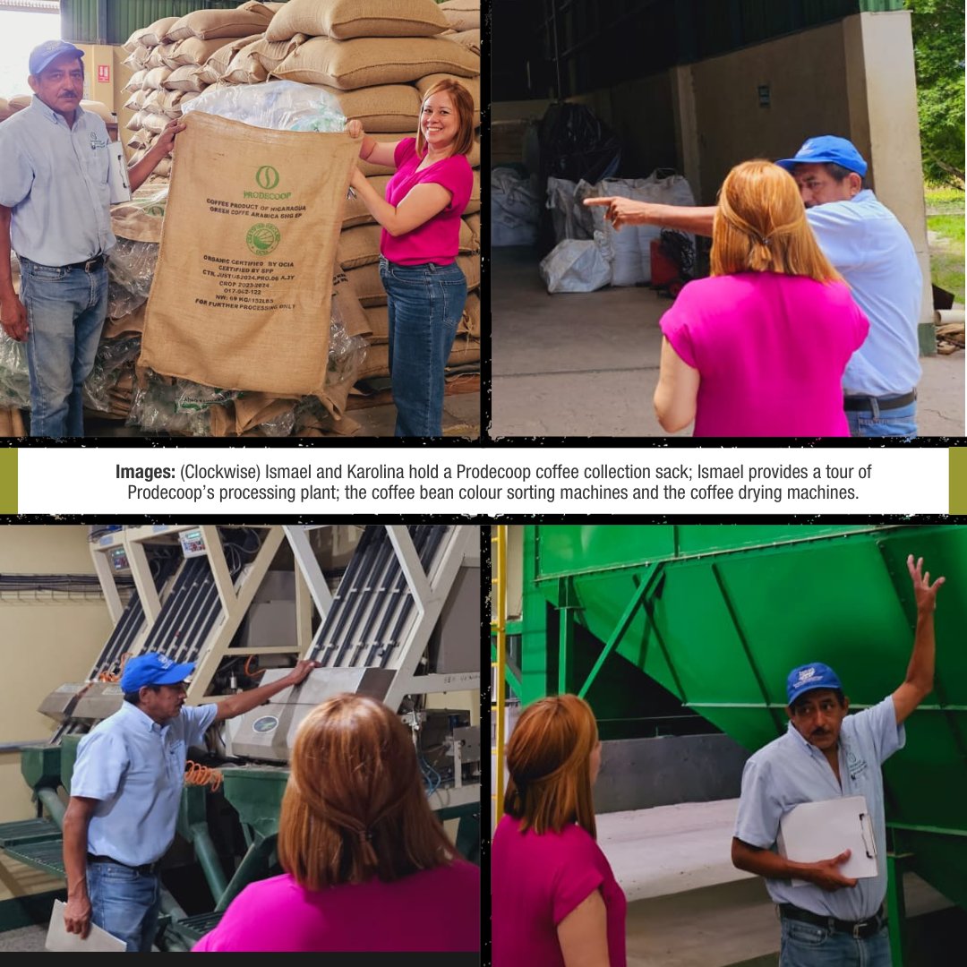 SharedInterest's tweet photo. Established in 1997, Prodecoop unites 38 coffee producing co-operatives in Esteli, Madriz and Nueva Segovia, throughout the northern region of Nicaragua.
 
Prodecoop supports 2,558 farmers with a stable income. The organisation also implements reforestation, income diversification, food safety, technical assistance, health and gender equality projects within the communities of its producer members.

Shared Interest and Prodecoop 🌱
 
Our relationship with Prodecoop began in 2006, when we provided the organisation USD $600k as prefinance to help in securing coffee contracts. Since then, our financial support has risen to USD $1.75m, in alignment with the company’s growth.

Visiting Prodecoop in Nicaragua 🇳🇮
 
In August, Shared Interest Lending Manager, Karolina Jiménez and Shared Interest Customer Representative, Jason Murillo, visited the co-operative. Karolina and Jason had the opportunity to tour the co-op's premises and processing plant, with Prodecoop Vice President of Industrial Processes, Ismael Campos. 
 
Karolina was given a demonstration of Prodecoop's coffee bean colour sorting machines and coffee drying machines by Ismael. Once coffee is delivered in to Prodecoop by farmers after undergoing an on-farm wet-mill process, the coffee lots are tested and labelled with the name of the producer, quality rating and humidity reading. 
 
The dry mill process continues and the coffee lots are prepared according to its certification features. One stage of the dry milling process involves drying the coffee, as coffee beans must reach a specific percentage of humidity.
 
Karolina and Jason also participated in the coffee cupping process with the co-op's Quality Control Assitants, Joao Campos and Águeda Ruiz. 
 
Speaking about his experience visiting the co-operative, Jason said: "The members of the staff team are people who are truly dedicated to their work and are motivated to make things work well for the organisation. 

"In an environment of enormous challenges for exports, they have managed to achieve excellent results in very short timescales according to business requirements."

Support our mission 💚

Find out more about our work:
https://t.co/q3XV55X0h5

Invest with us and transform lives:
https://t.co/0bhHQvK5wM
 
#investinafairerworld #forjusticenotprofit #fairtrade #financewithahumanface