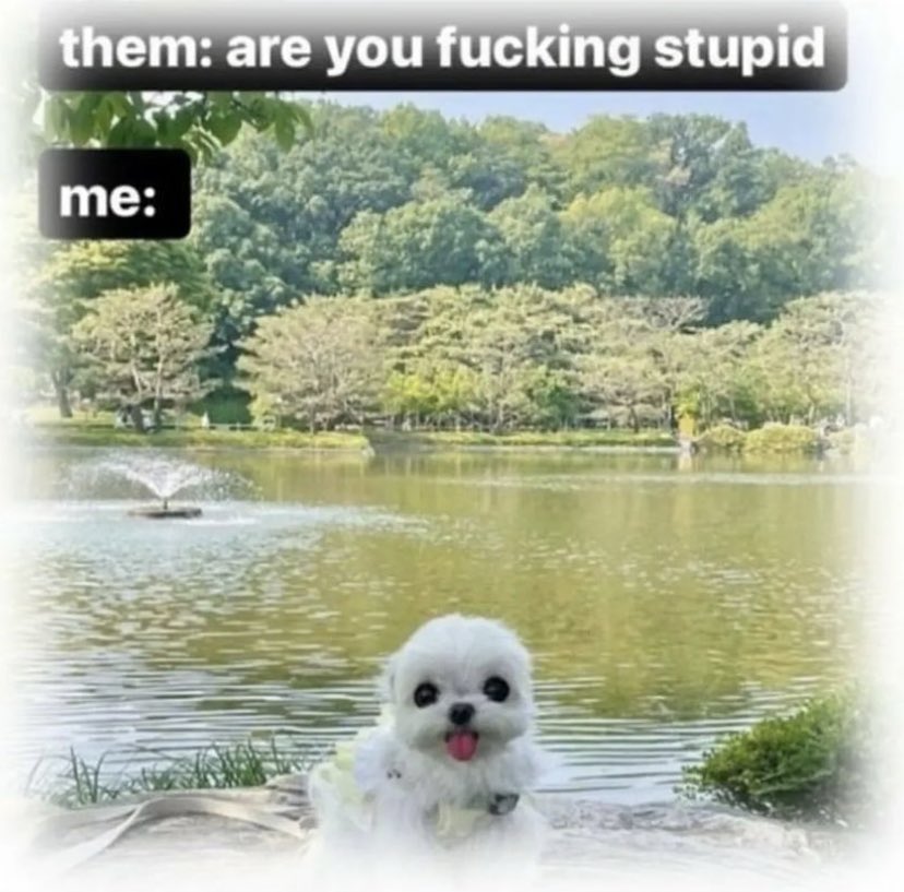 ✧ (@northstardoll) on Twitter photo 