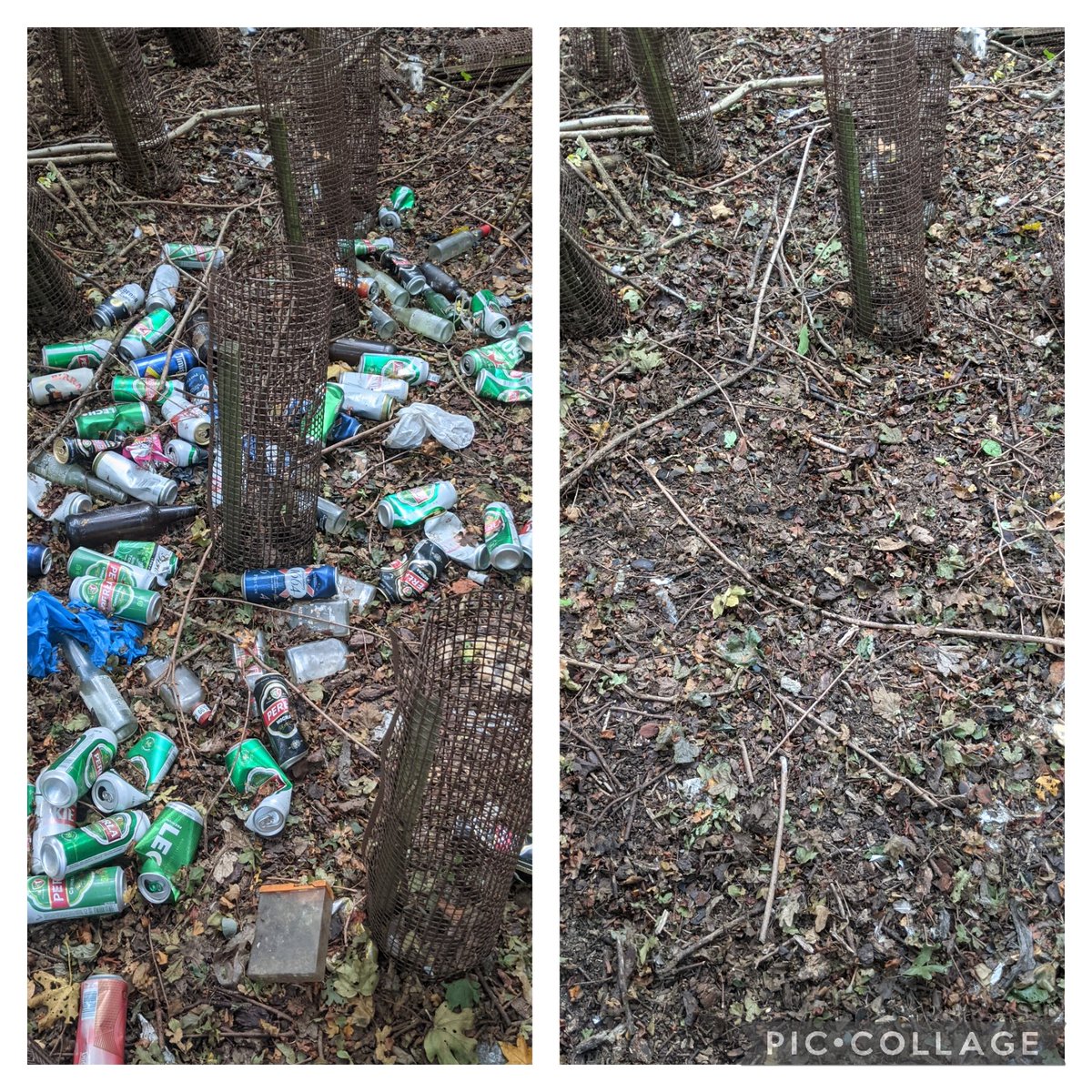 EricTorrington's tweet image. Many #litterpickers like before &amp;amp; after clean-up pics. Well here's some of mine. Bit of an #aluminium can theme today with two hedgerow picks, a bag full of um &amp;amp; me (7) &amp;amp; 55 years later. Think I've aged well 🤔 #litter