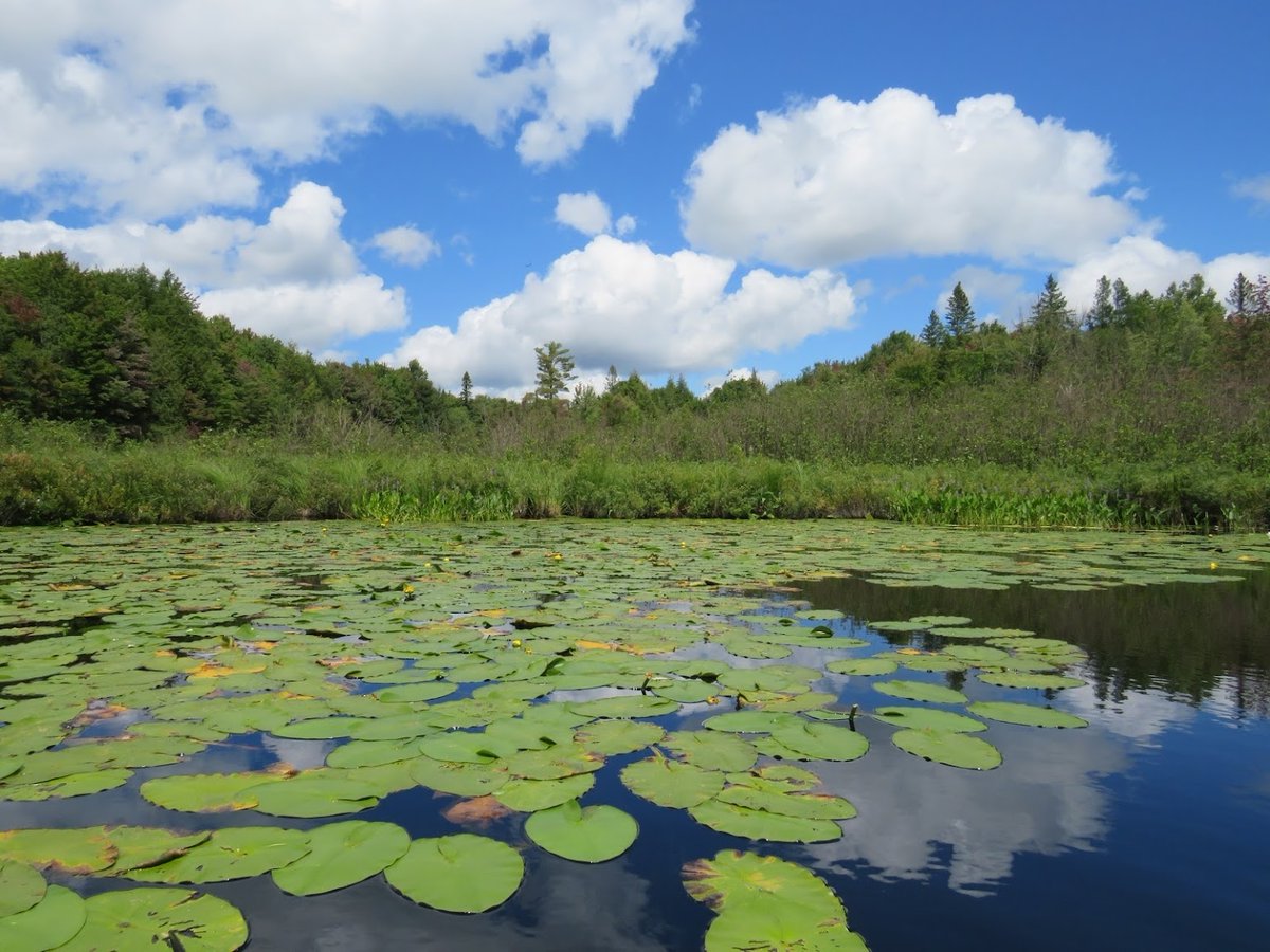 River Alliance of Wisconsin empowers people to protect and restore water. Together, we can be a voice for the water that makes Wisconsin such a special place to live, work and play. 

We share our news on our Word on the Stream newsletter. Subscribe today: wisconsinrivers.org/newsletter-sig…