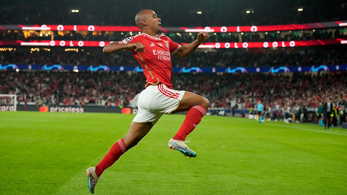 OFSAYTHATTI's tweet photo. Beşiktaş'a Benfica'dan bir orta saha daha geldi. Joao Mario🔥 #JoaoMario #Besiktaş https://t.co/NWtVXE5kCh