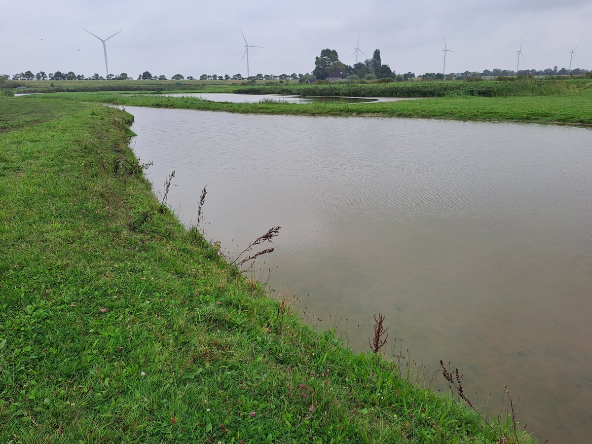 BoswachterRoelf's tweet photo. Dankzij een bijdrage vanuit het Weidevogelfonds van @landschapnh wordt momenteel waterberging Wadweere bij Aartswoud heringericht. Met ingang van broedseizoen 2025 komen greppels en lage delen plas-dras te staan. Goed nieuws voor o.a. Kievit, Grutto en Tureluur! https://t.co/U36zUsG3oK