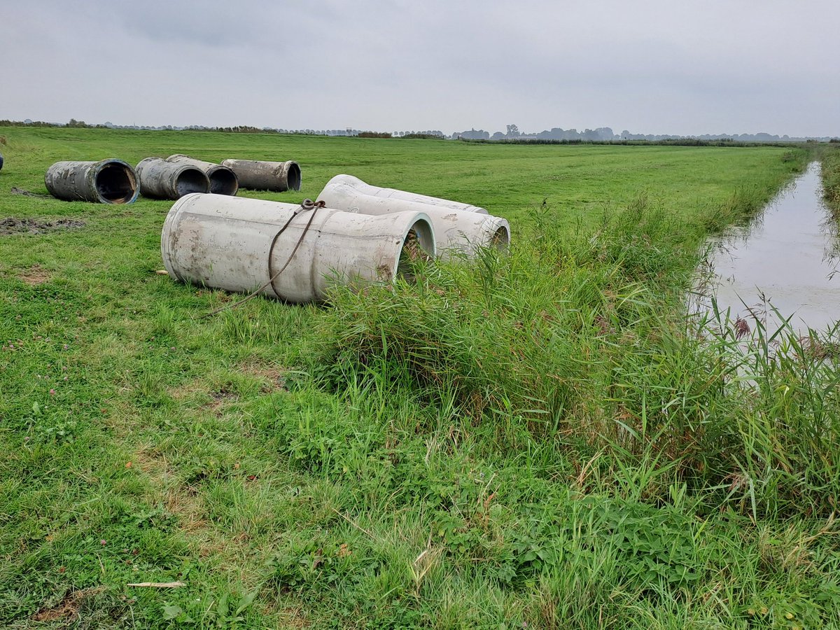 Dankzij een bijdrage vanuit het Weidevogelfonds van @landschapnh wordt momenteel waterberging Wadweere bij Aartswoud heringericht. Met ingang van broedseizoen 2025 komen greppels en lage delen plas-dras te staan. Goed nieuws voor o.a. Kievit, Grutto en Tureluur!