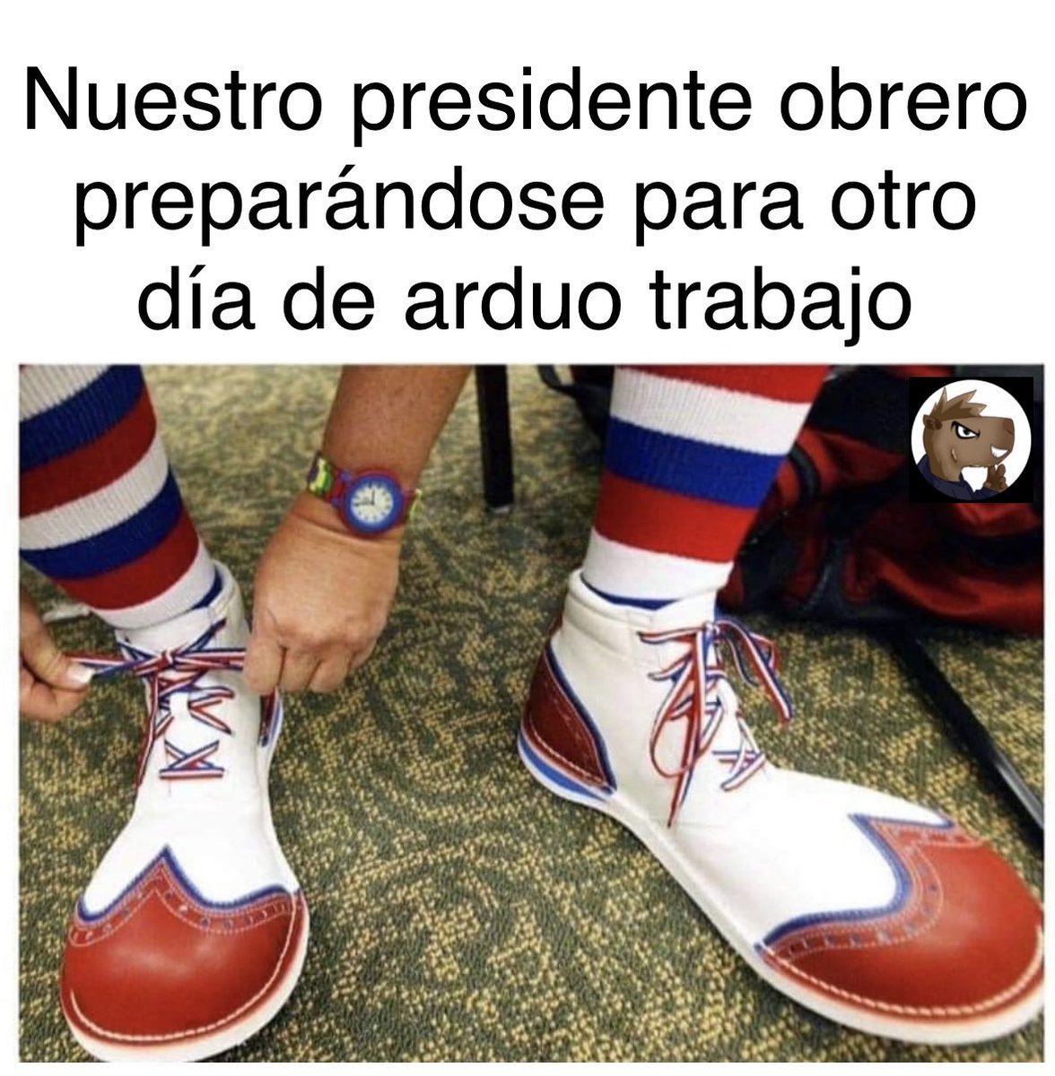 El Chigüire Tripolar (@chiguietripolar) on Twitter photo 