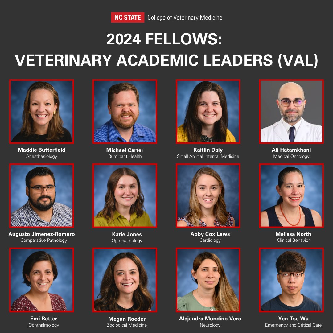 NCStateVetMed's tweet image. PROBLEM: Only 6% of US vets work in academia, & vet colleges worldwide are struggling to fill positions.
SOLUTION: #NCStateVetMed's VAL Program helps residents prepare for academia, focusing on research, teaching, & professional skills.
Meet the fellows: go.ncsu.edu/val-24