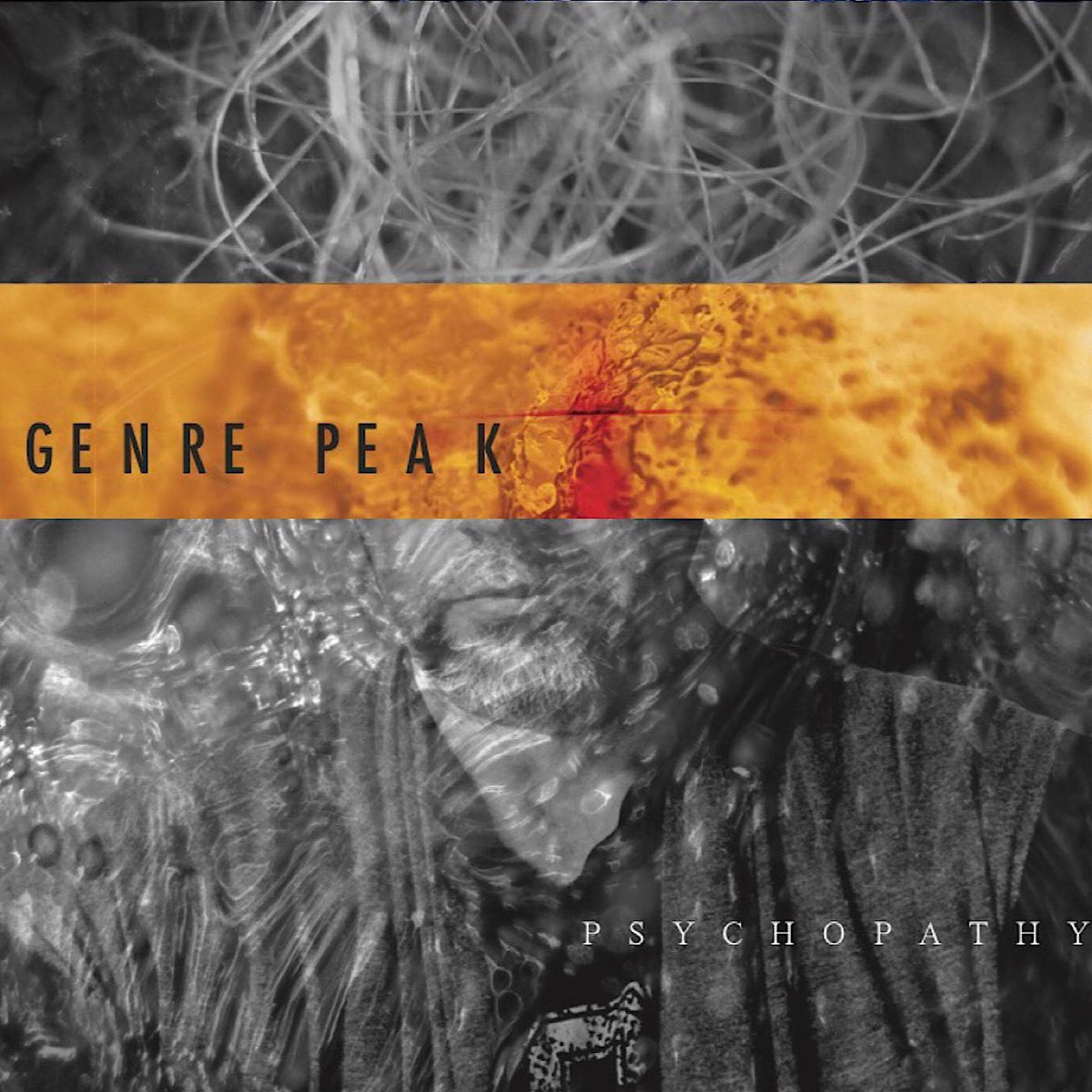Genre_Peak's tweet photo. Bandcamp Friday is coming up, I invite you to check out some of our releases. Collaborations with Mick Karn, Richard Barbieri, Steve Jansen, Jon Hassell and more!
Go to: https://t.co/LKMS6vMSbc
@SacNewsReview @TimBowness @sideline @barbieri301157 https://t.co/zSLM2hiSXo