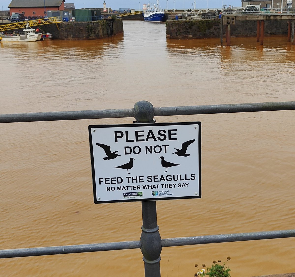 John Hickey tweet media