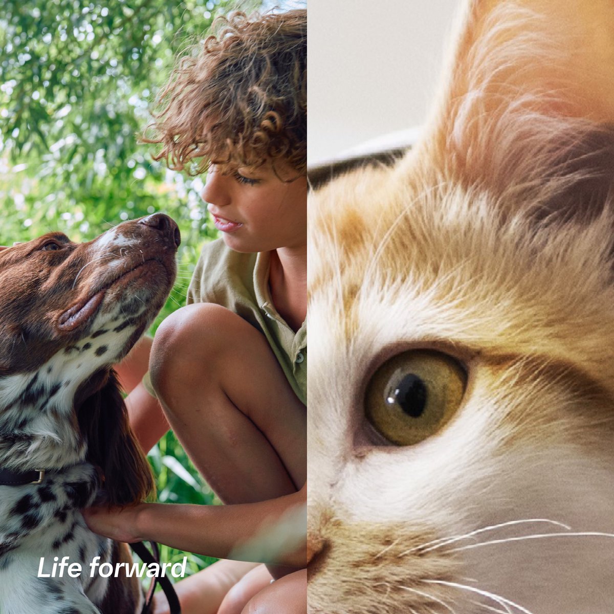 #NOTICIA: Hemos adquirido Saiba Animal Health AG. Estamos muy entusiasmados con el novedoso programa de desarrollo que sumamos a nuestro pipeline de I&amp;D en salud animal para el segmento que está creciendo rápidamente de terapéuticos para animales de compañía. 

Conoce más sobre