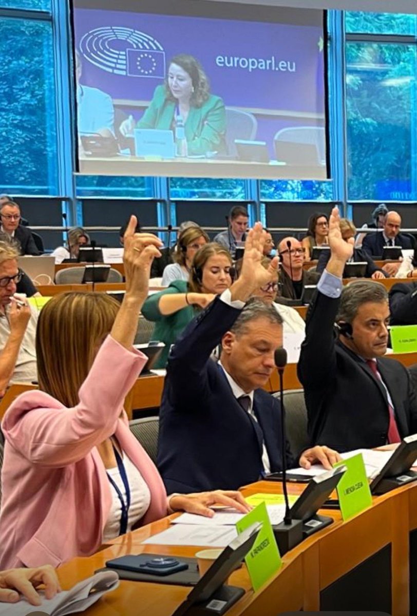 Eccomi già da lunedì a lavoro a Brusselles, oggi presiederò la commissione per i bilanci, che discuterà del progetto di bilancio 2025. Nella foto la votazione degli emendamenti al bilancio di questa mattina in commissione Pesca.