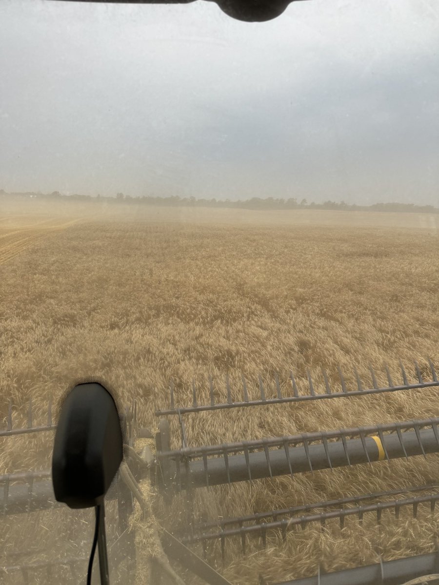 You might be a farm girl if you’re happy to use holidays from your day job for this view!! Peas ✅ Barley ✅ Oats ✅ glad to be back into the wheat after oats that felt like it would never get finished! #harvest2024