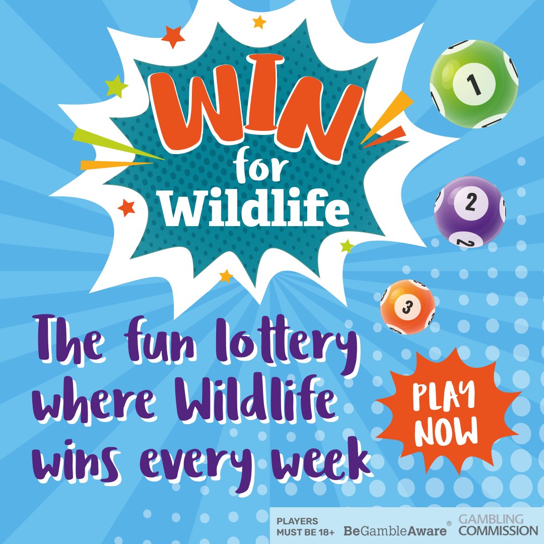 DerbysWildlife's tweet photo. Support Derbyshire's wildlife by joining our lottery

Each £1 entry helps fund conservation projects across the county, and you could win up to £25,000 - it's a win-win!

Draws are every Friday with a 1 in 63 chance of winning 🎉

Buy your ticket today 👉 https://t.co/wWaSciEnmp https://t.co/5JIQbk8agN