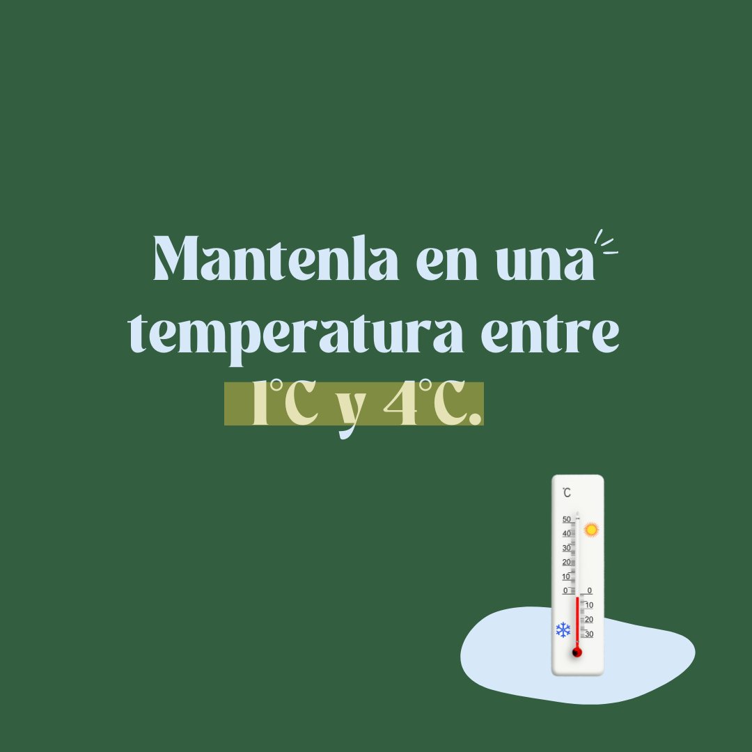 FGCarnico's tweet photo. ¡Mantén tu carne fresca y deliciosa con estos 4 consejos infalibles! 🥩❄️
Sigue estos tips y disfruta de tus cortes como recién comprados 🙌🏼🔝

#CuidadoDeLaCarne #TipsDeCocina #CarneFresca #Gastronomía https://t.co/K5rmVQ1Xm6