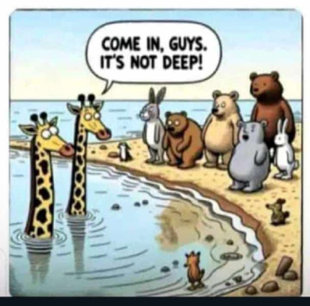 Ekitiketekan's tweet image. Know your risk profile before investing...