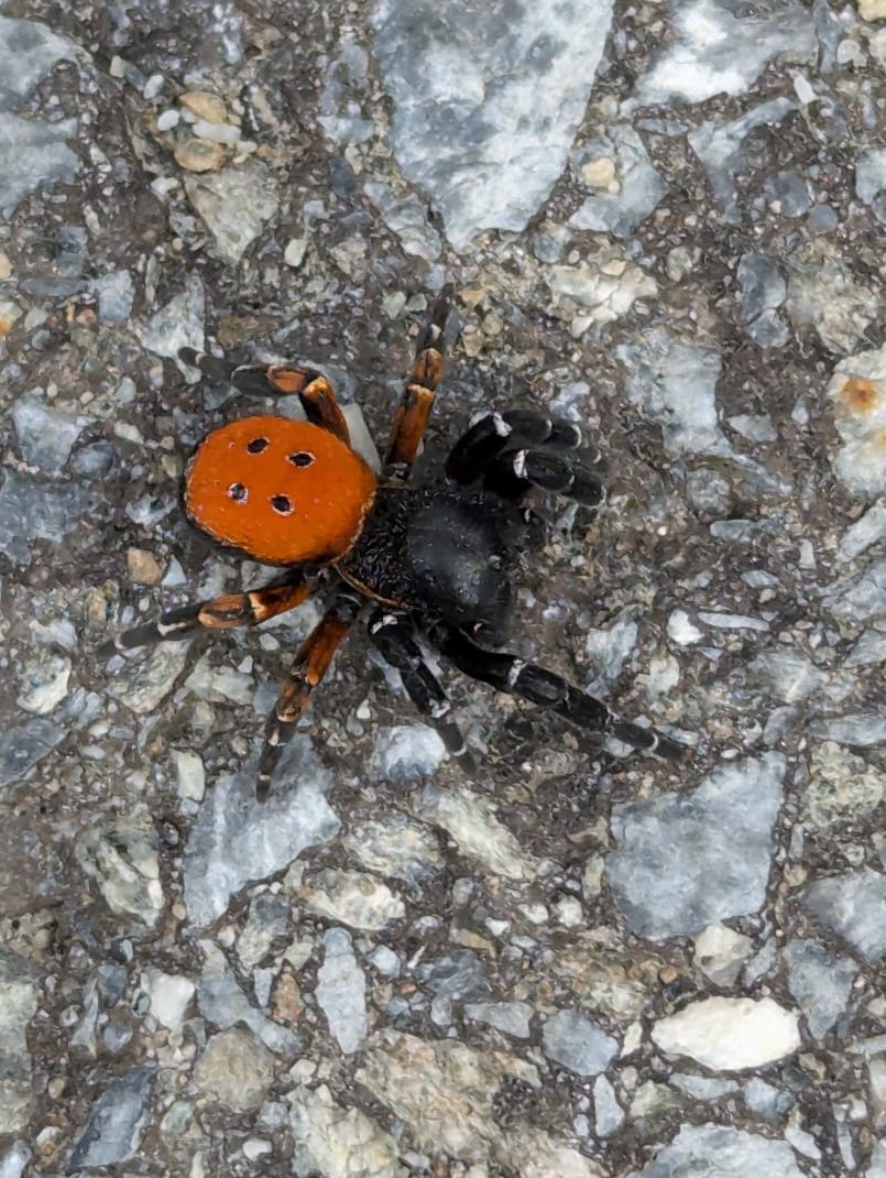 Angela Chuang tweet media