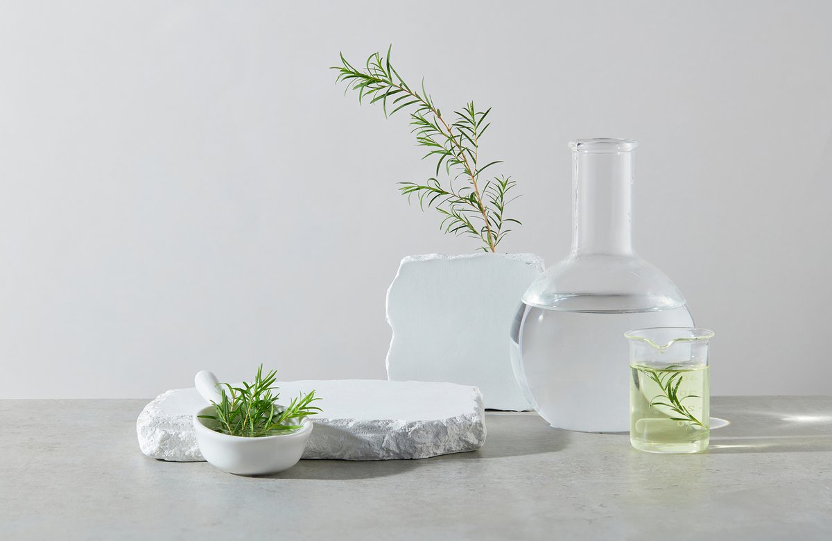 Balibart. tweet media