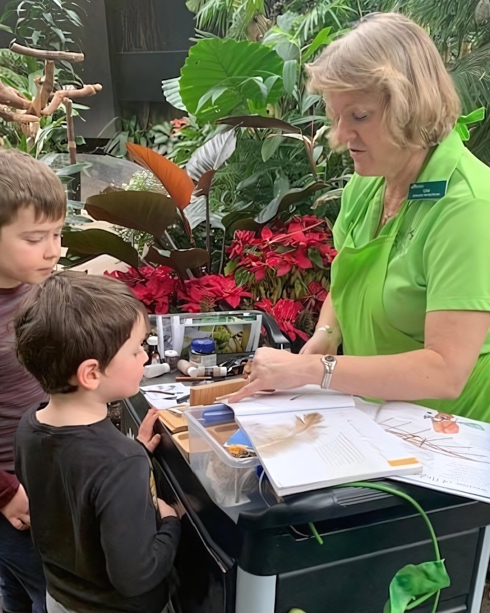BloedelConserv's tweet photo. 🦜 We're recruiting new volunteers! Enjoy the tropics all year as a Docent and Discovery Station volunteer. Learn about plants, birds, &amp; biodiversity and share that knowledge with others - if you enjoy engaging with people, this is the role for you! Apply: https://t.co/UanDN9tS2Q https://t.co/3gUidwu5Xa