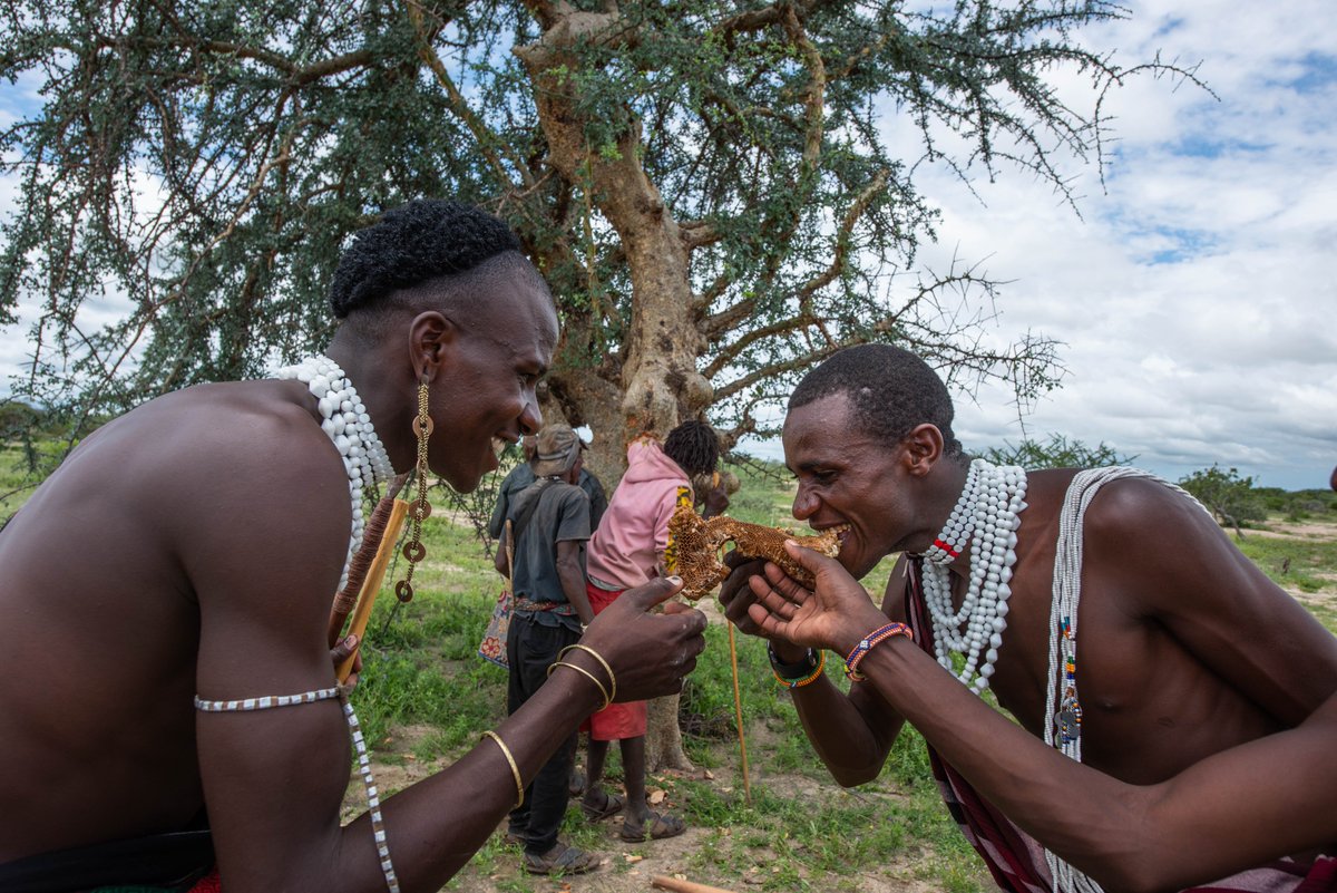 🌿📸 Congratulations to the grand prize winner of our photo contest, “Thrive with Nature: Restore, Protect, Sustain”: Roshni Lodhia! 

🥇 1st prize overall: “Sharing Honey” - Roshni Lodhia for <a href="/CarbonTanzania/">Carbon Tanzania</a>