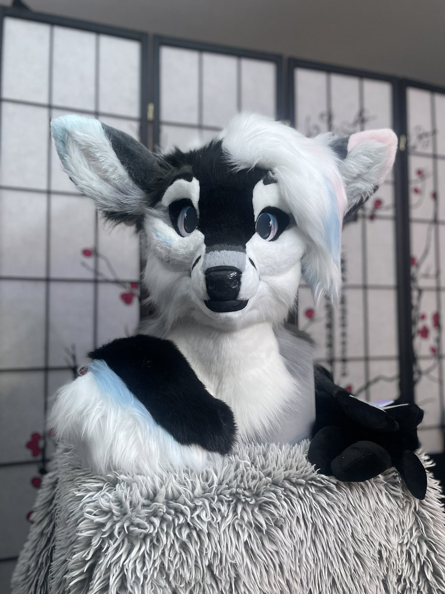 Smoll Sherk 🦈 ➡️ MFF tweet media