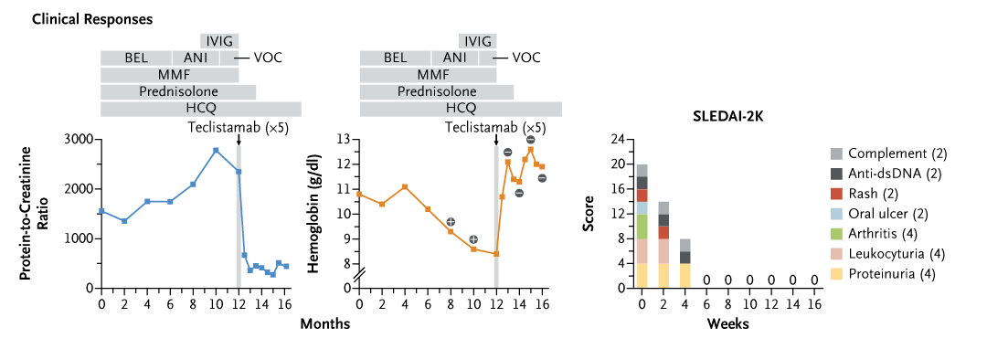 NEJM's tweet photo. A woman with aggressive refractory systemic lupus erythematosus was treated with a short course of the bispecific antibody teclistamab (anti–B-cell maturation antigen and anti-CD3) and had a drug-free complete remission. Full correspondence: https://t.co/fiQJZuoxvD https://t.co/ZRdMvkA4C8