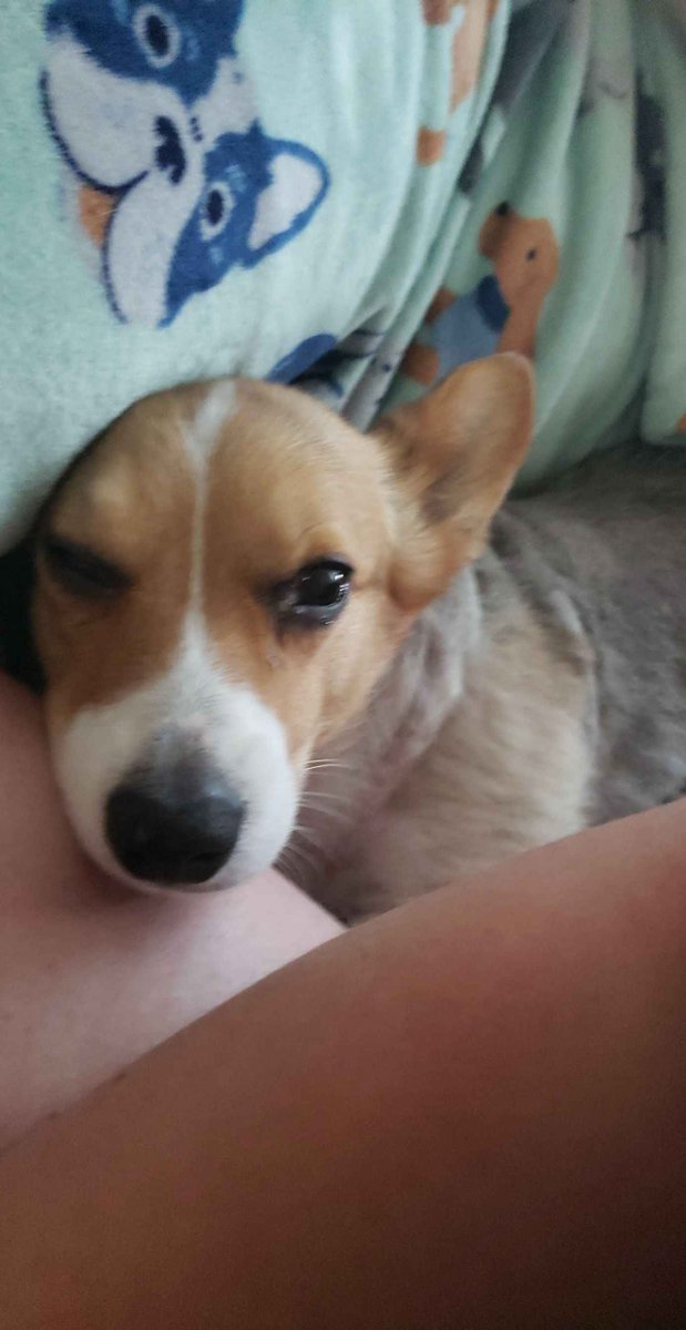 Katly707 tweet media