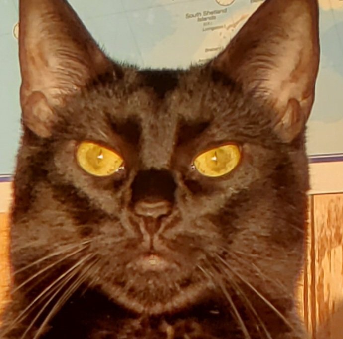 We are LIVE with part 1 of The Casting of Frank Stone! Coral is all ready for the spooks! Pop on in!
twitch.tv/weflaps