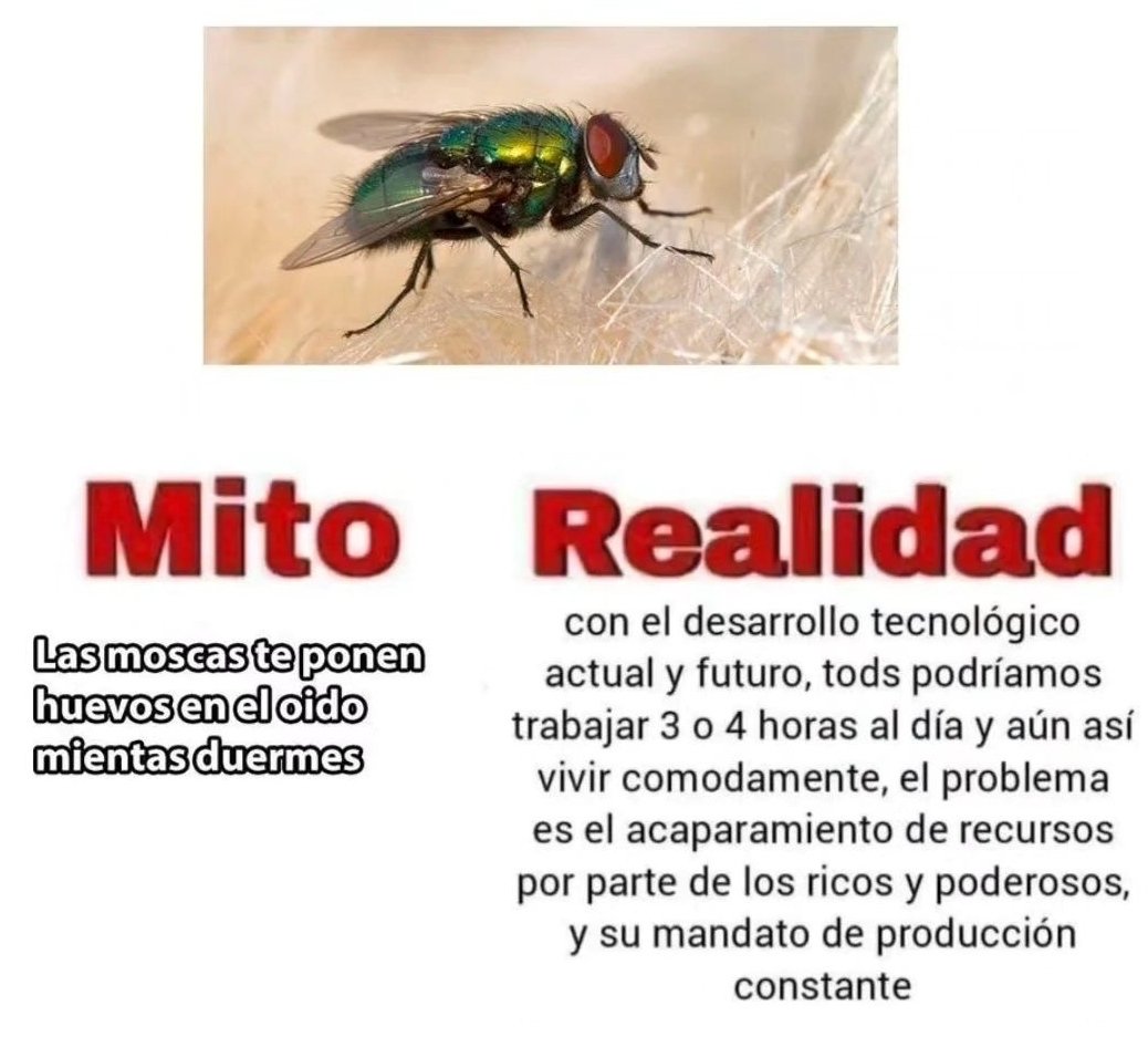 Infusión Ideológica 🫖🍵 (@infusionlogica) on Twitter photo 