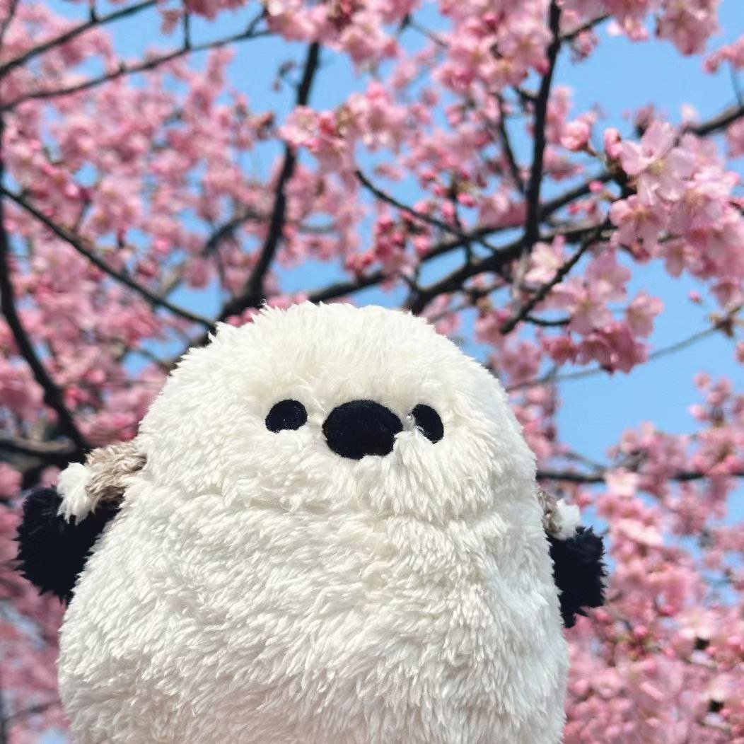 あなたのおかげで人生は美しく、あなたのおかげで人生は素晴らしいです。✨