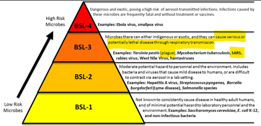 Nova_Thistle's tweet image. Not only do our public schools negligently infect staff &amp;amp; children with SARS (a level-3 biosafety hazard) repeatedly every year, but they&apos;re also an environment of cognitive impairment, inconducive to learning. #LearningLoss #TeacherShortage #OurKidsCantWait