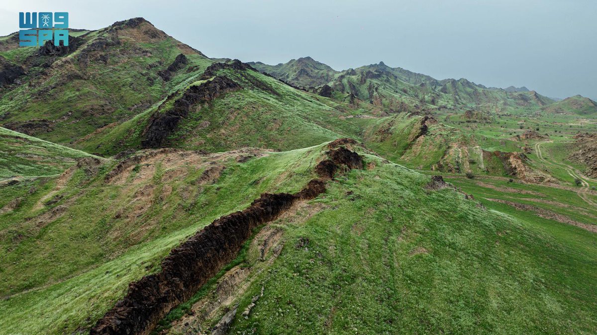 أخبار السعودية tweet media