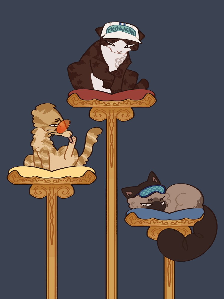 the way to the top is a giant cat tree