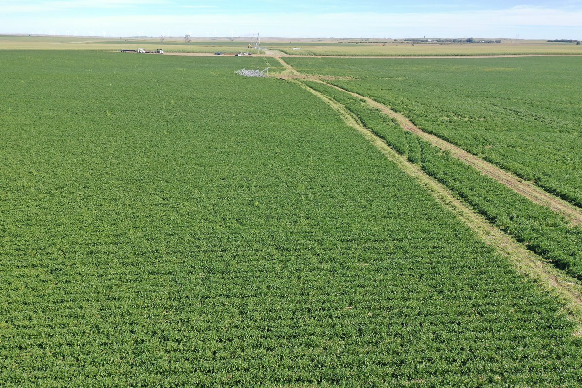 UIUC Wind Engineering Research Lab (@windlaboratory) on Twitter photo Labor Day Weekend was busy for the UIUC Wind Engineering Research Lab team. We surveyed the damage caused by the August 28th, 2024 Mound City, SD Tornado. Crop damage along with Transmission Line failures were documented. Stay tuned for more details! #tornado @NWSAbderdeen Labor Day Weekend was busy for the UIUC Wind Engineering Research Lab team. We surveyed the damage caused by the August 28th, 2024 Mound City, SD Tornado. Crop damage along with Transmission Line failures were documented. Stay tuned for more details! #tornado @NWSAbderdeen