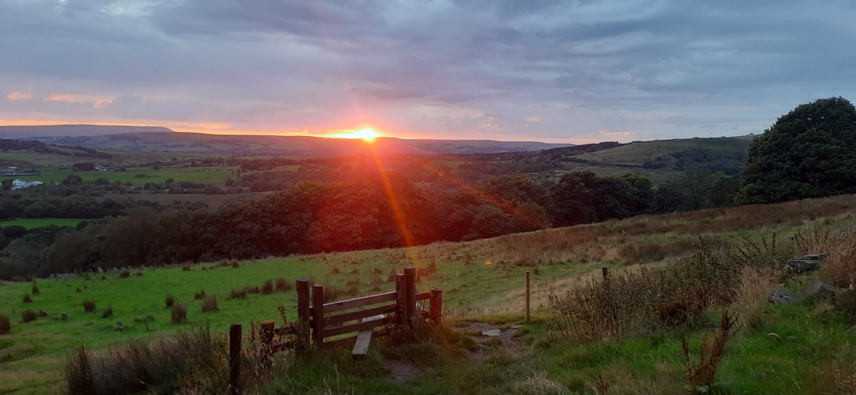 dobbyduvet's tweet photo. Stunning evening to be out. That time of the year again, when you race home before losing the light. https://t.co/LJ6EuMMhAK
