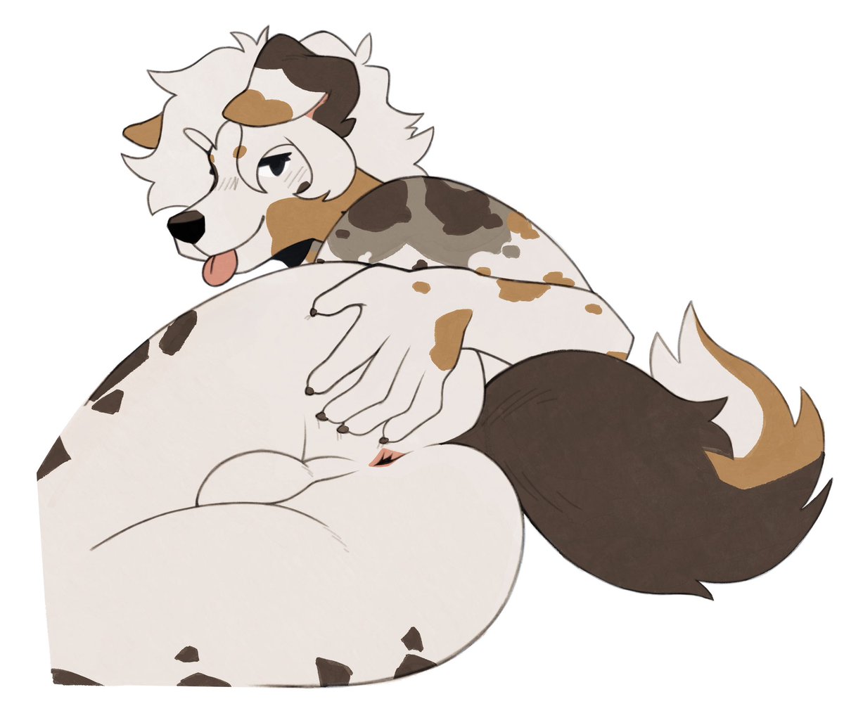 Telafuro tweet media