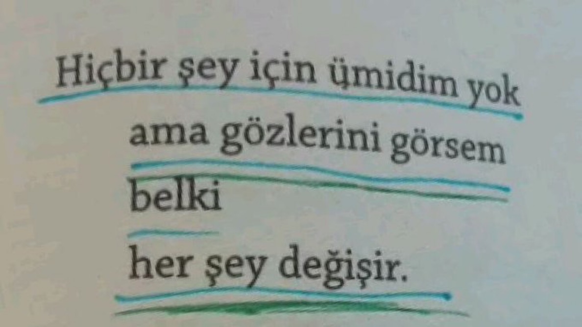 “Hiç bir şey için ümidim yok 
ama gözlerini görsem belki her şey değişir.”