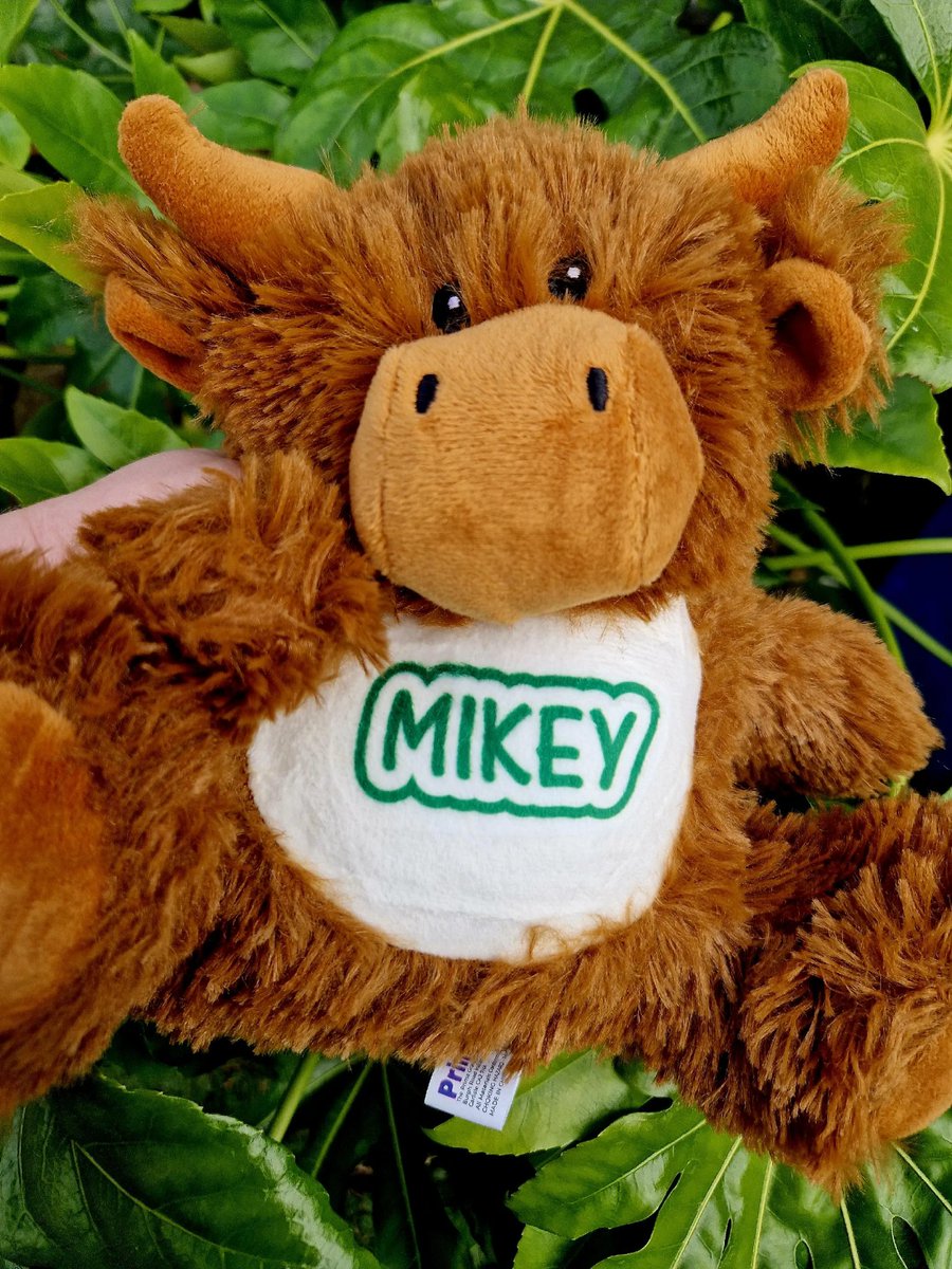 HugBoxUK's tweet photo. Personalised Highland Cows ❤️
https://t.co/ep4pdMKyk0
#Hug #gift #Personalised #love #giftidea #Highlandcow #Highland #cow #coo
#sympthy #Birthday #thanks #thinkingofyou #retirement #getwell #blc #uk https://t.co/bH0dQ0iHec