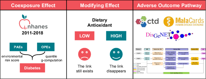 Potential mechanisms and modifications of dietary antioxidants on the associations between co-exposure to plastic additives and diabetes dlvr.it/TCqVkd