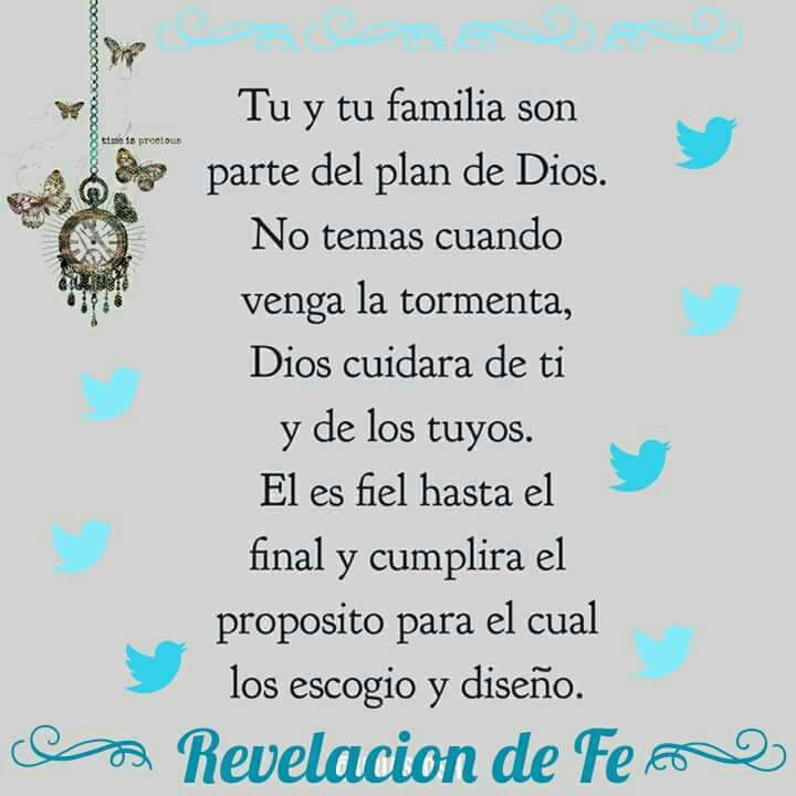 TuttyMarroquin's tweet photo. https://t.co/rmflzpbVdu
