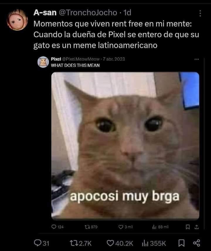 <a href="/AEduardoCSVet/">Eduardo Cabrera</a> <a href="/PixelMeowMeow/">Pixel</a> Si