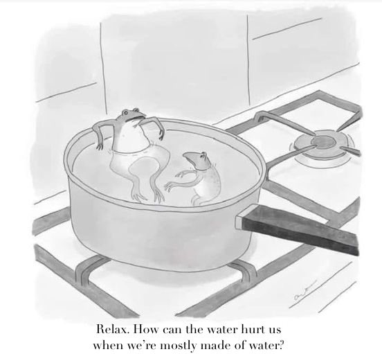 GeorgeHeyman's tweet image. John Rustad is like …