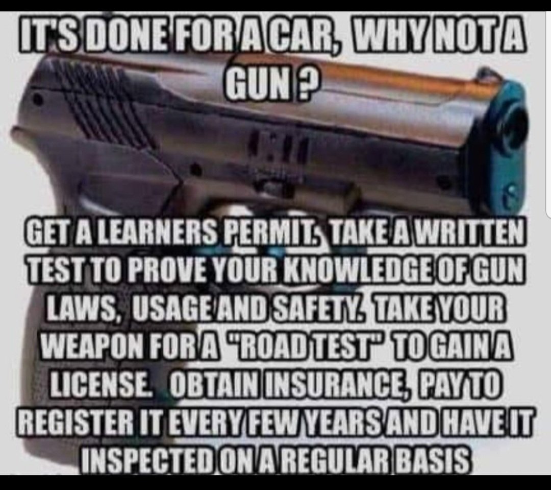 Eve (@fwd4democracy) on Twitter photo @cash4ga <a href="/GovKemp/">Governor Brian P. Kemp</a> Freedom and irresponsibility CANNOT coexist!! If you have to be insurable to drive a car, you MUST be insurable to own a gun!! @cash4ga <a href="/GovKemp/">Governor Brian P. Kemp</a> Freedom and irresponsibility CANNOT coexist!! If you have to be insurable to drive a car, you MUST be insurable to own a gun!!