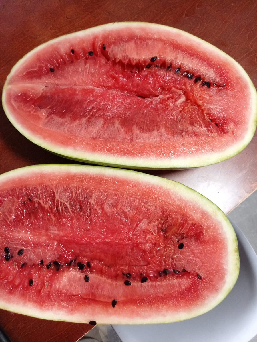 La sandía podrida que me mandó <a href="/Chedrauioficial/">Chedraui</a>