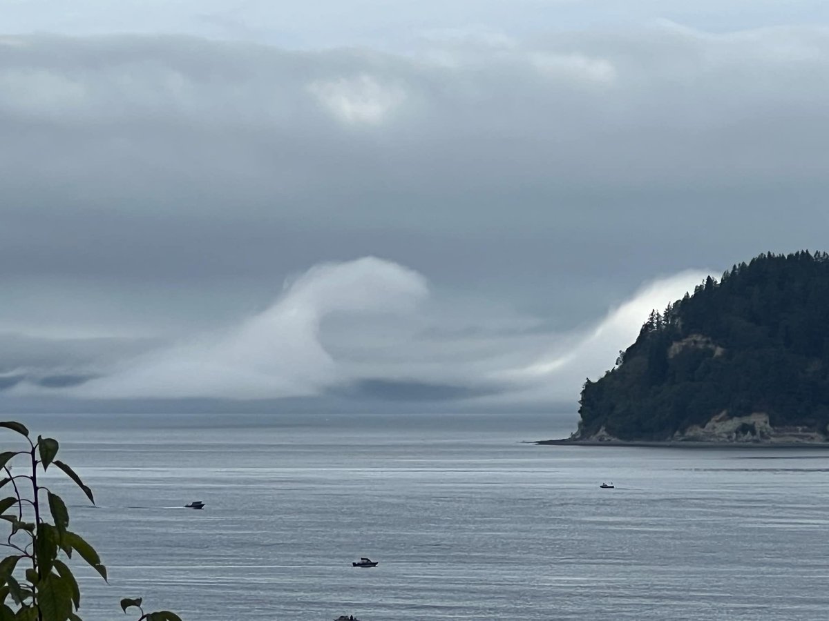 Epic Kelvin-Helmholtz cloud display in the fog Tuesday over Puget Sound just off Whidbey Island 😮 #wawx 

(Photo courtesy: Jodi Poissant)