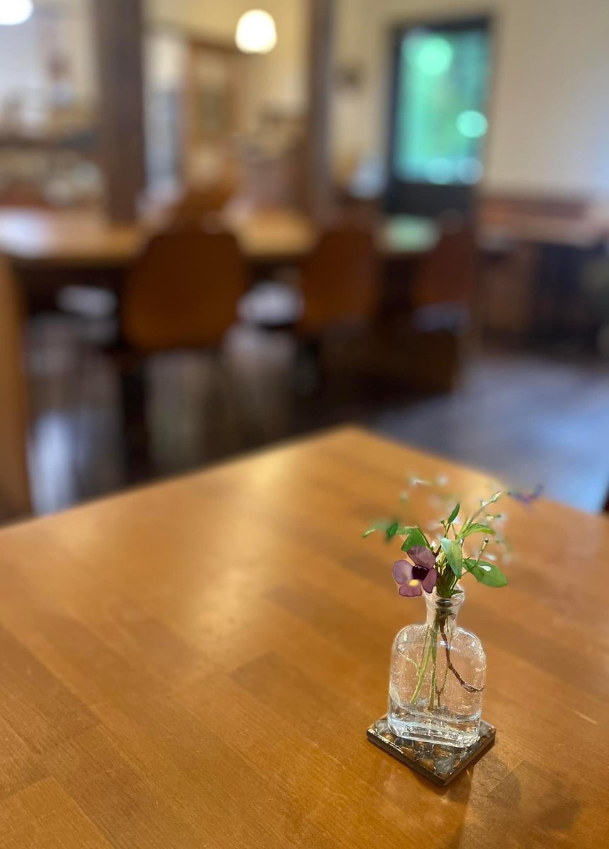 oishianmorigo's tweet photo. 本日、5日（木）11-16時半で営業いたします！

絶好のカフェ日和になりそうですね🌿🍂🍁🍃

https://t.co/V4WkoM7XsZ https://t.co/4TedmsotVF