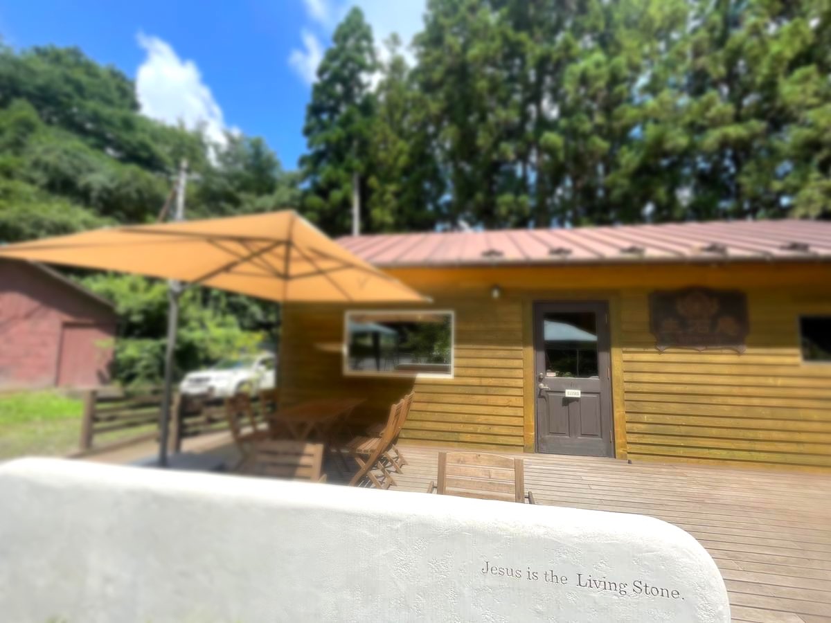 oishianmorigo's tweet photo. 本日、5日（木）11-16時半で営業いたします！

絶好のカフェ日和になりそうですね🌿🍂🍁🍃

https://t.co/V4WkoM7XsZ https://t.co/4TedmsotVF
